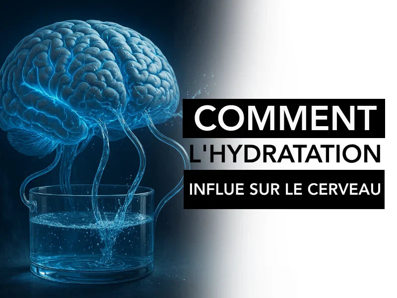 Comment l'hydratation influe le cerveau