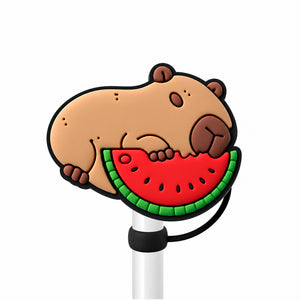 Embout de Paille Capybara