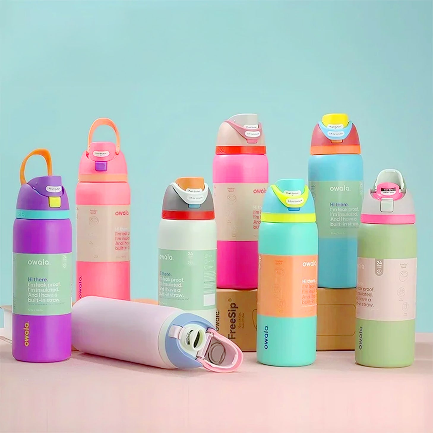 gourde inox isotherme colorés