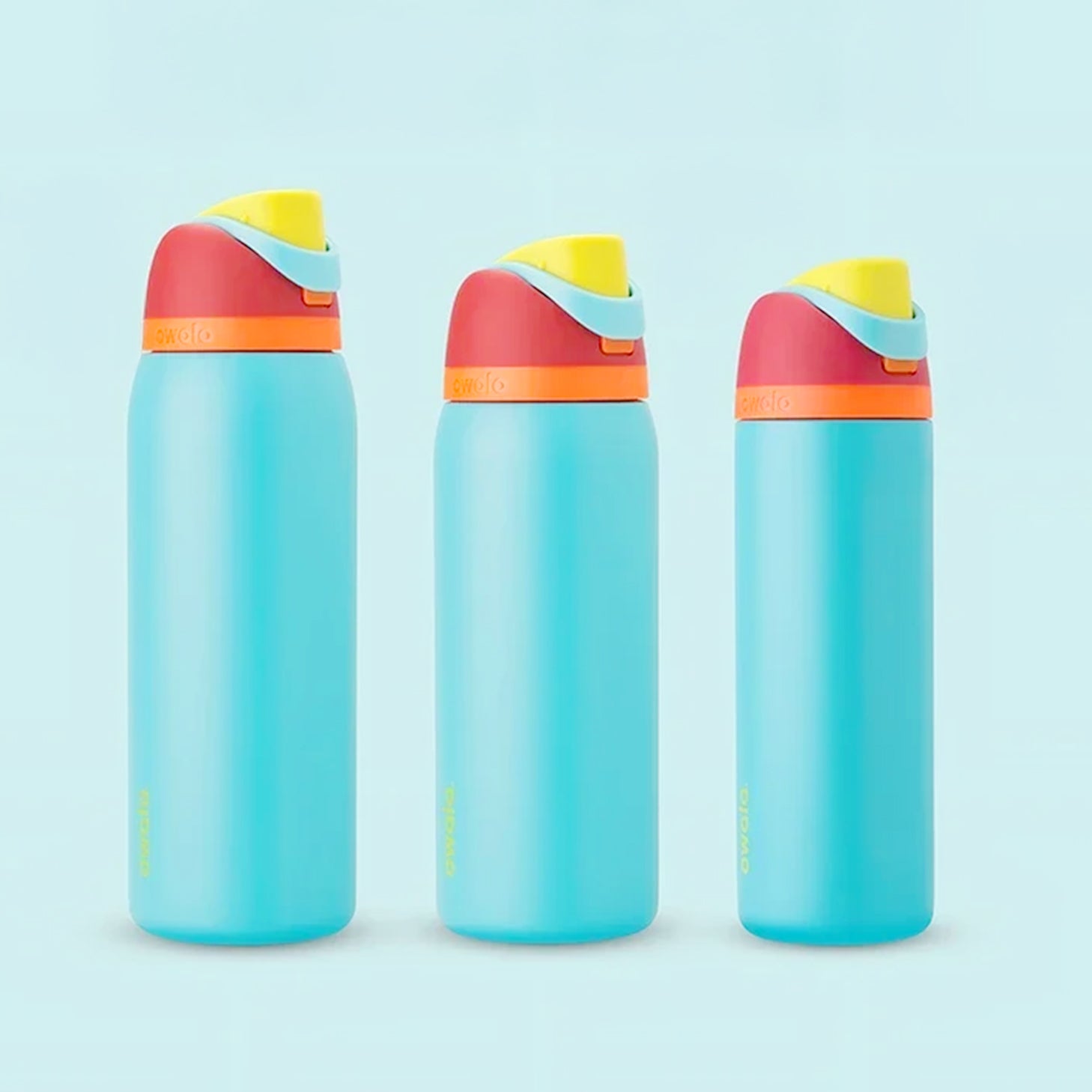 gourde isotherme coloré